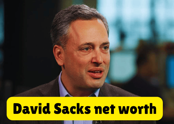 David Sacks Net Worth